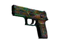 P250 Visions